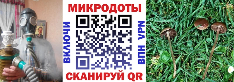 наркошоп  Урюпинск  Галлюциногенные грибы MAGIC MUSHROOMS 