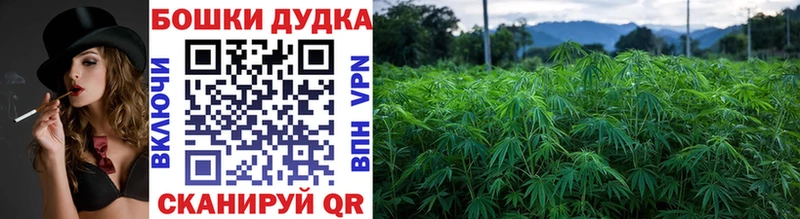 нарко площадка формула Урюпинск Бошки марихуана конопля
